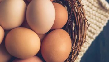Ni pržena ni kajgana: pravilan način pripreme jaja za maksimalno iskorišćavanje svih proteina