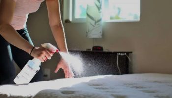 Recite zbogom mrljama i prašini: Japanski metod čišćenja koji je hit u 2026. godini