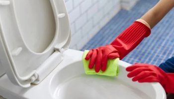 Kako oprati toalet: trik koji će pomoći da ga očistite od naslaga