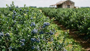 Pretrpeli su internet prevaru od 10.000 € i sud je presudio u njihovu korist: Isplaćeno im je 63.000 €