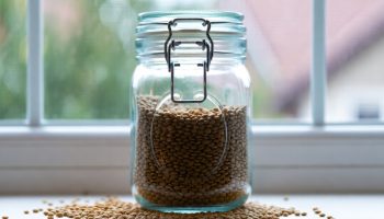 Stavite čašu sočiva na prozor: Čemu služi i zašto se preporučuje