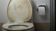 Come pulire il sedile del WC e rimuovere le macchie gialle