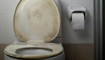 Come pulire il sedile del WC e rimuovere le macchie gialle