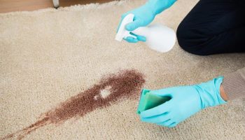 Ako vyčistiť koberec od nečistôt: metódy, prostriedky a tipy na odstraňovanie škvŕn v domácnosti
