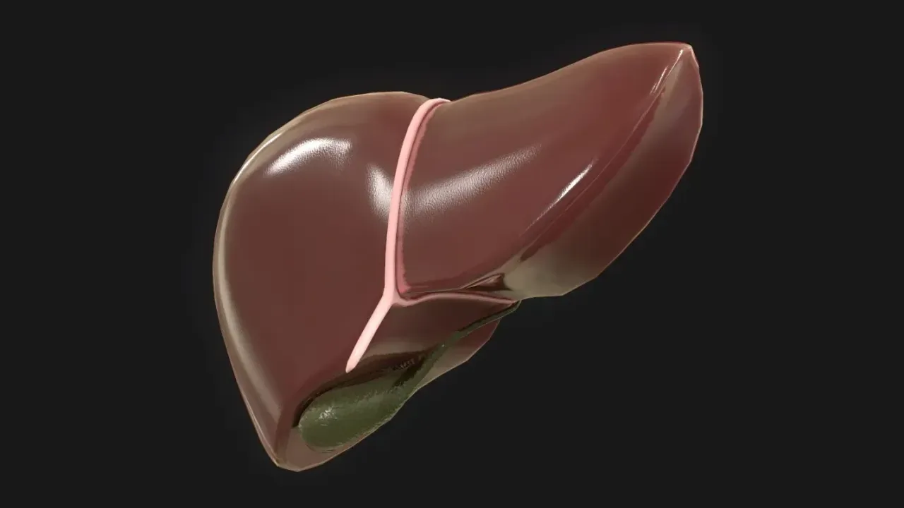 Zdrave navike za očuvanje funkcije jetre