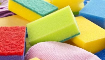 Spugne da cucina: un ricettacolo di batteri e come mantenerle pulite