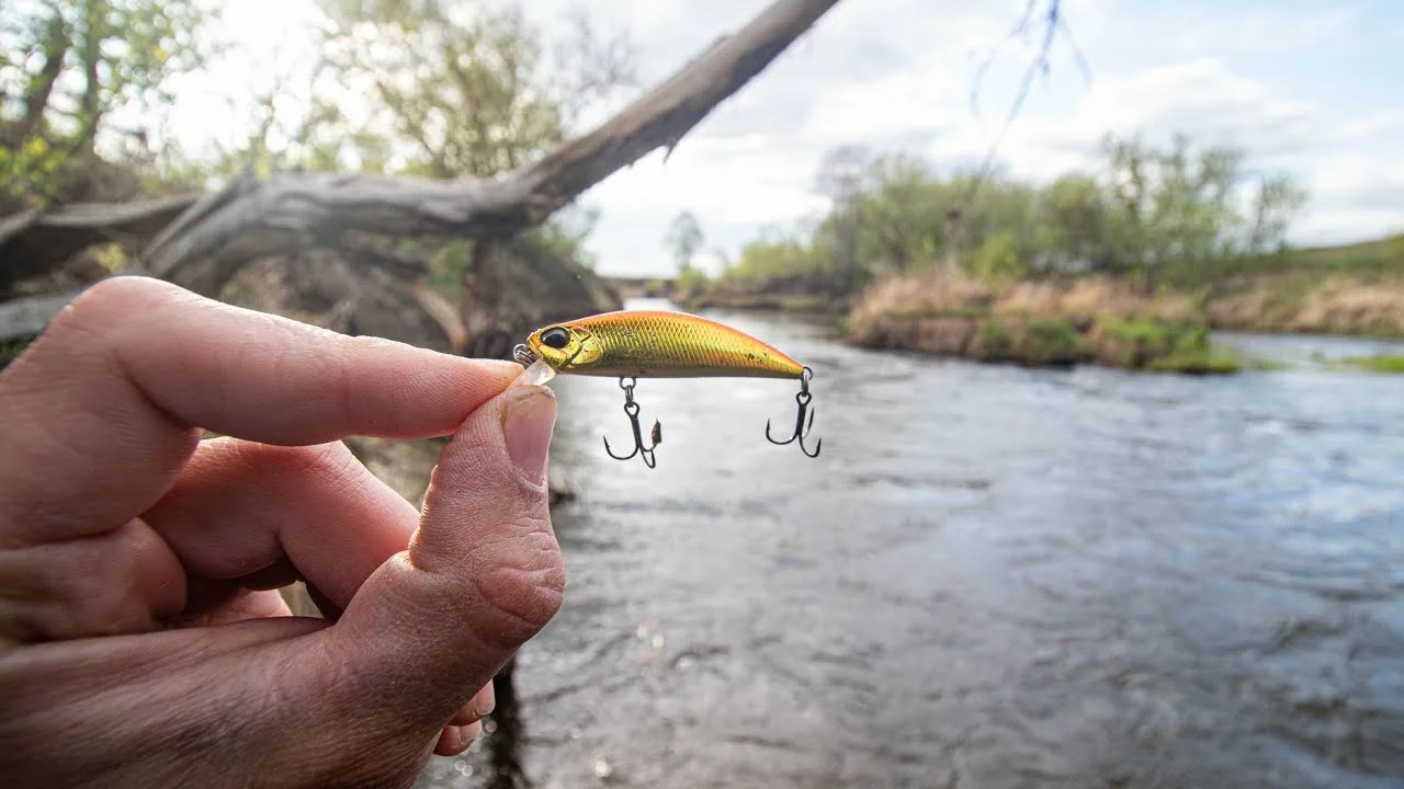 Očišćeni vobleri spremni za novu upotrebu