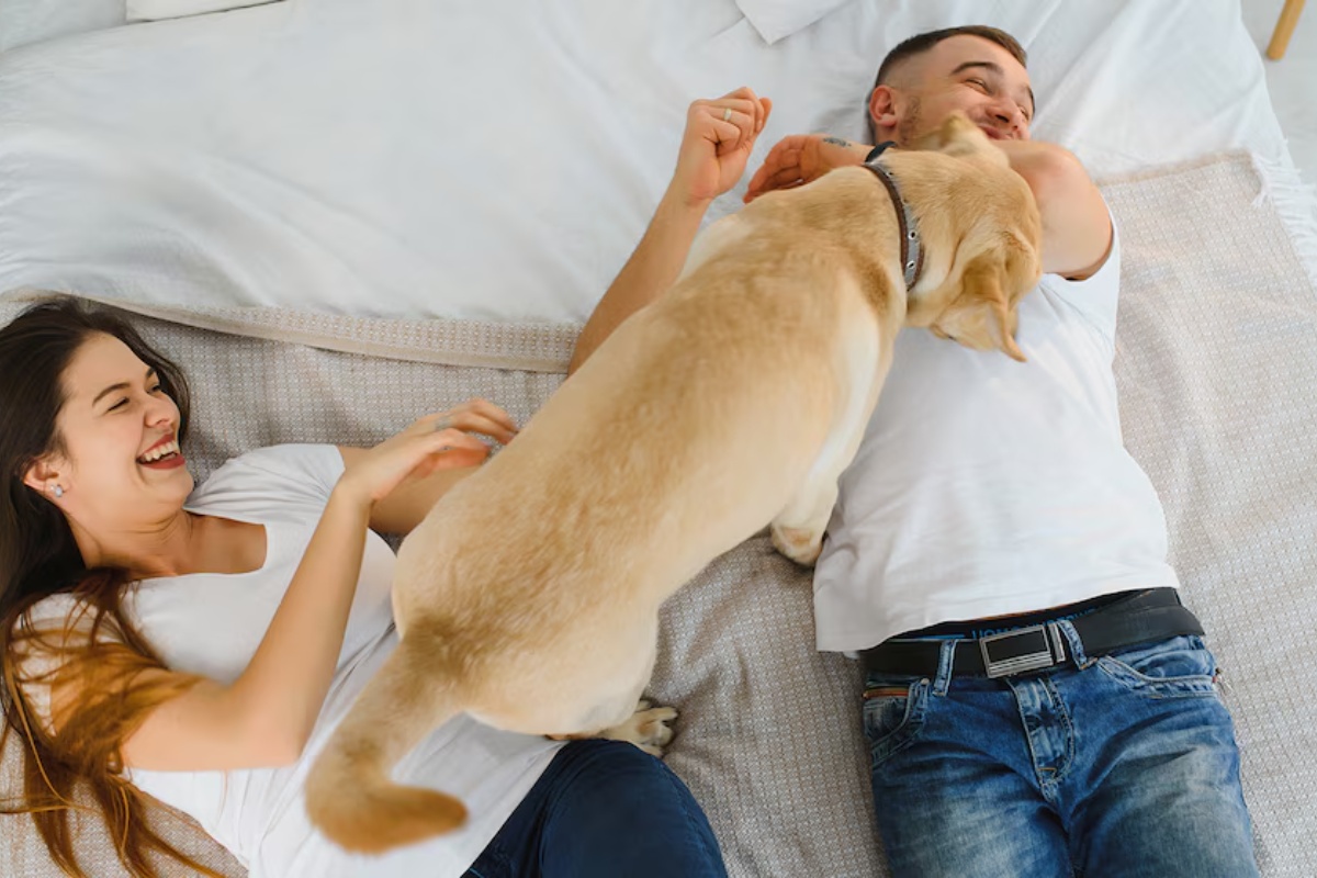 Smrt kućnog ljubimca može izazvati bol jednako intenzivan kao i gubitak člana porodice – image 1