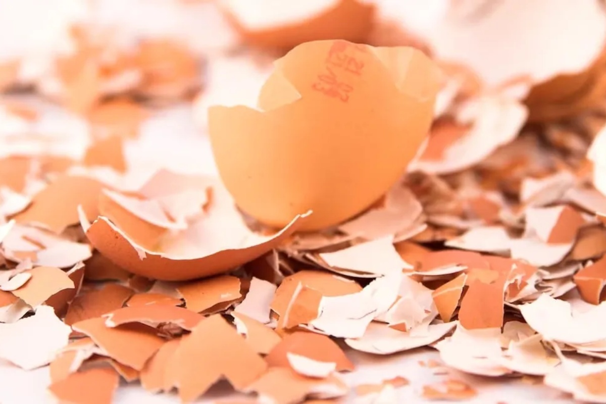 Recikliranje sapuna i ljuski jaja: Zašto je ovo postalo popularno u Srbiji i koje su prednosti – image 1