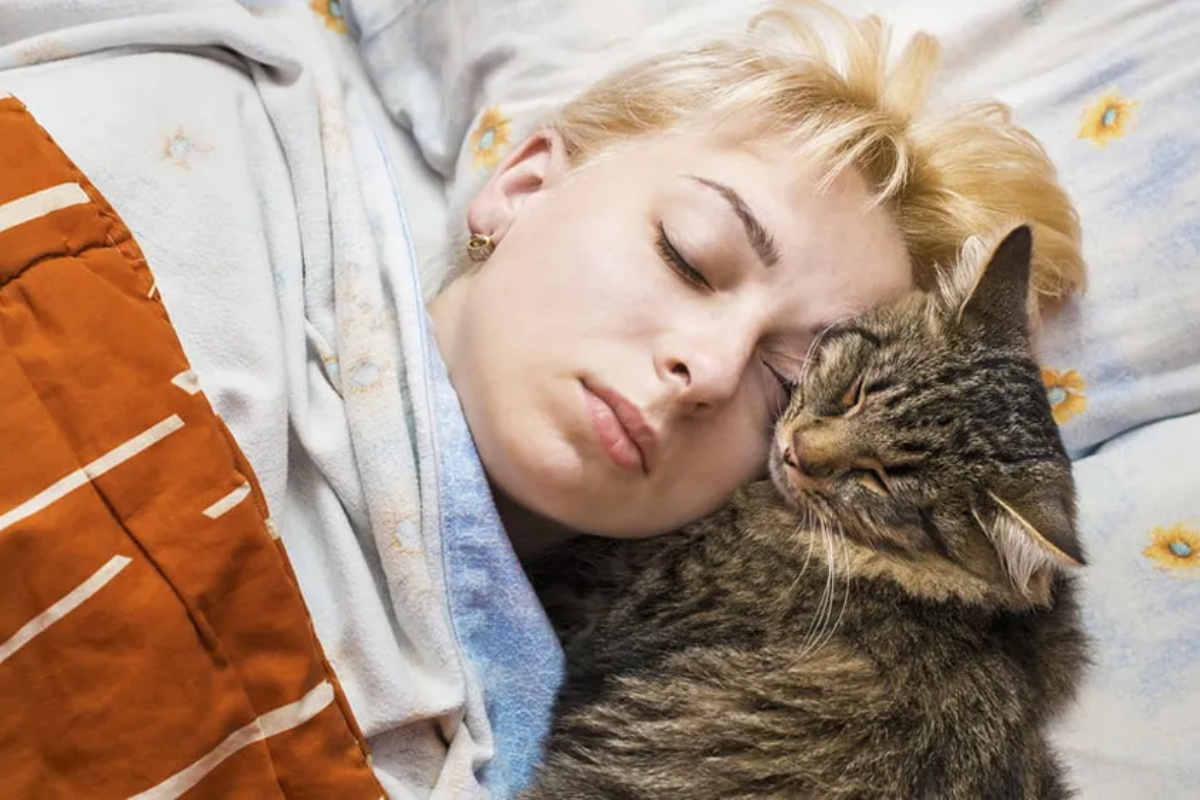 Nije zbog toplote: Zašto vaša mačka bira da spava na vama i šta taj gest otkriva – image 1