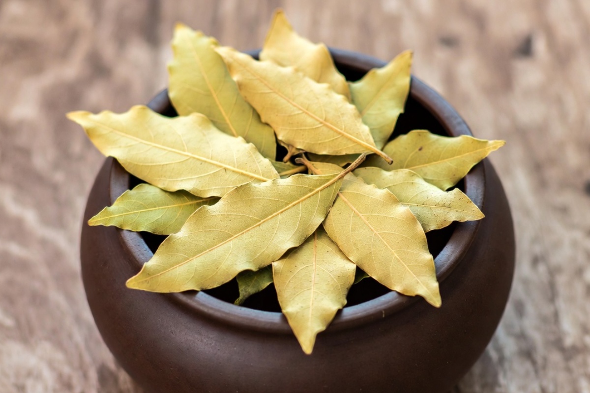 Gde postaviti posudu sa suvim lovorovim listom za privlačenje novca, prema Feng Šuiju – image 1