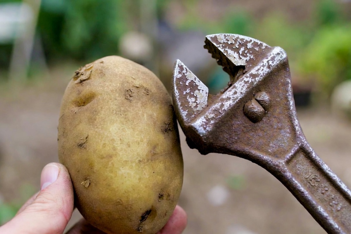 Trljanje krompira o zarđali alat: koje su prednosti – image 1