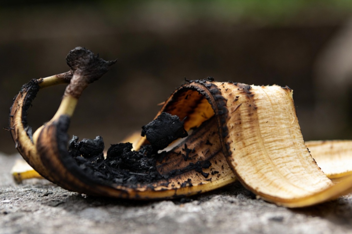 Spaljena kora banane — prirodni izbeljivač zuba koji zaista radi – image 1