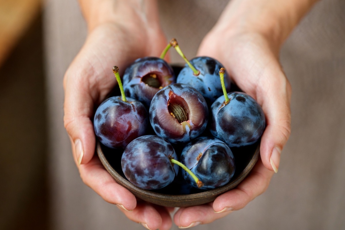 Ako jedete šljive, ne bacajte košticu: evo zašto se preporučuje da ih sačuvate – image 1
