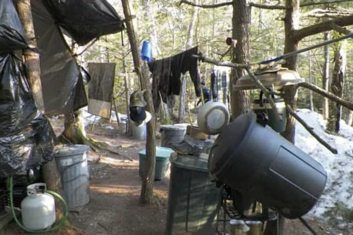 Živeo je 27 godina izolovan u šumi, počinio više od 1.000 krađa i bio zatvoren: „Bolje sam se osećao u tišini“ – image 1