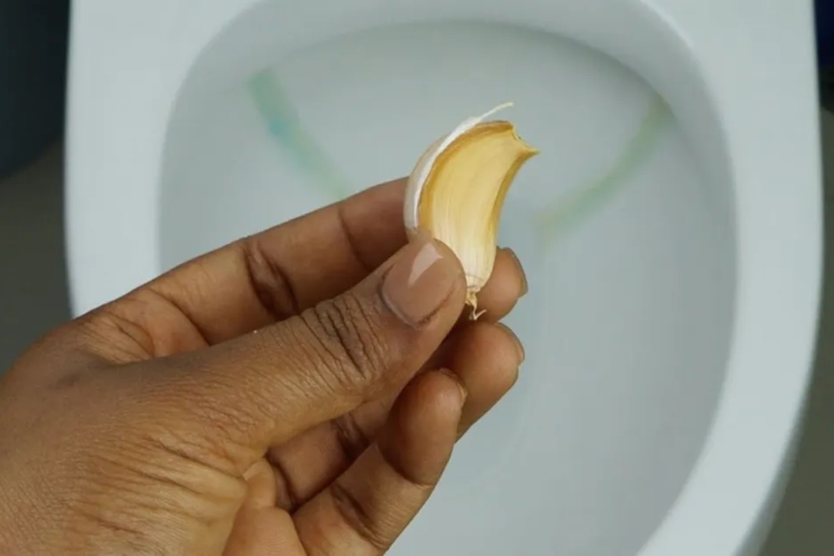 Šta znači ubaciti čen belog luka u toalet šolju? Bićete iznenađeni! – image 1