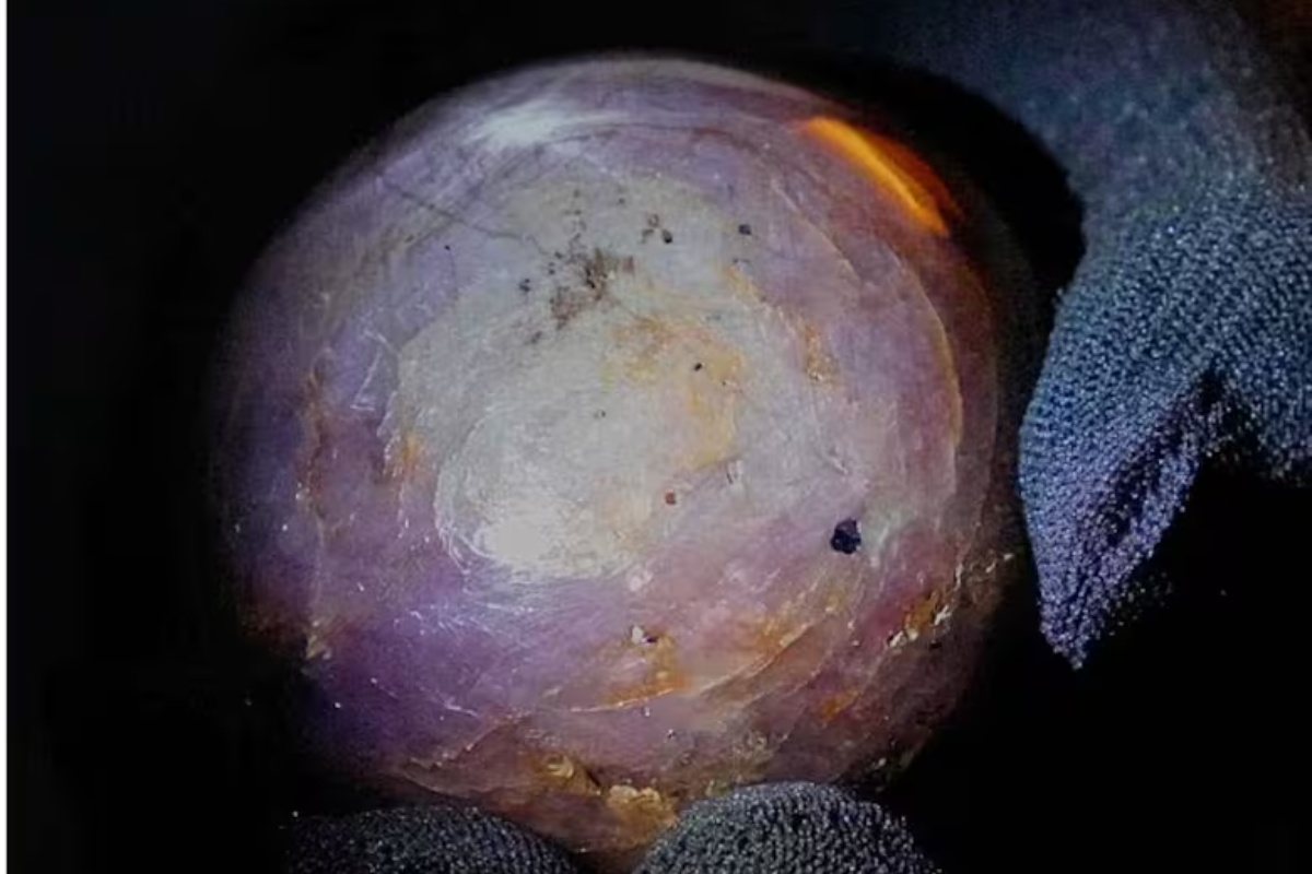 Otkriven najveći safir na svetu: Sada se bore za nasledstvo bogatstva koje on predstavlja – image 1