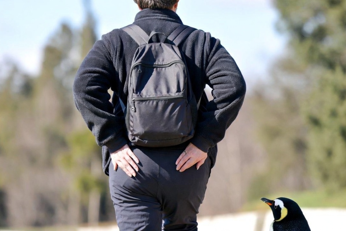 Zašto lekari fizijatri preporučuju tehniku 'hodanja poput pingvina' – image 1