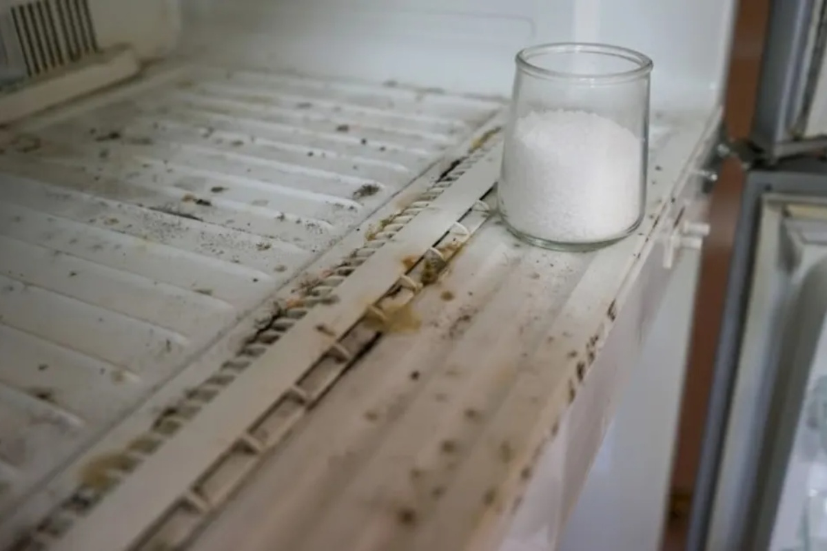 Šta znači staviti teglu sa solju u frižider – image 1