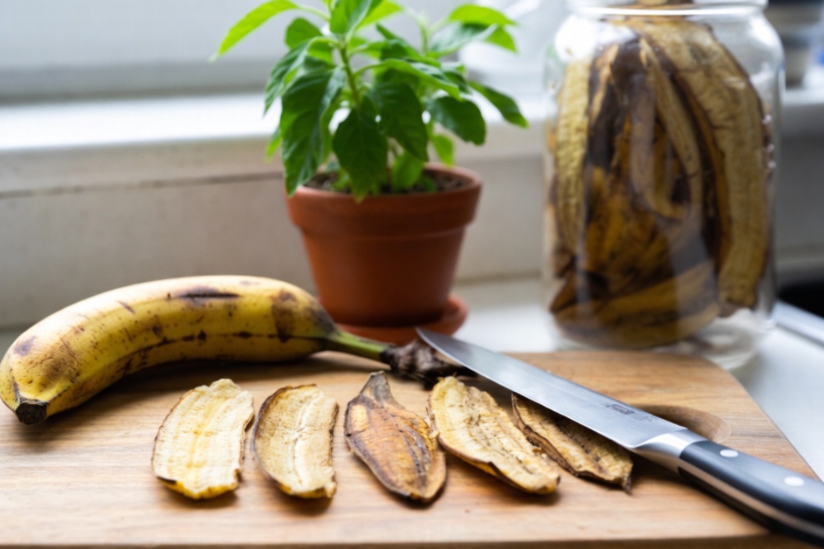 Ne bacajte ih, one su blago: kako da iskoristite kore od banane u svom domu – image 1