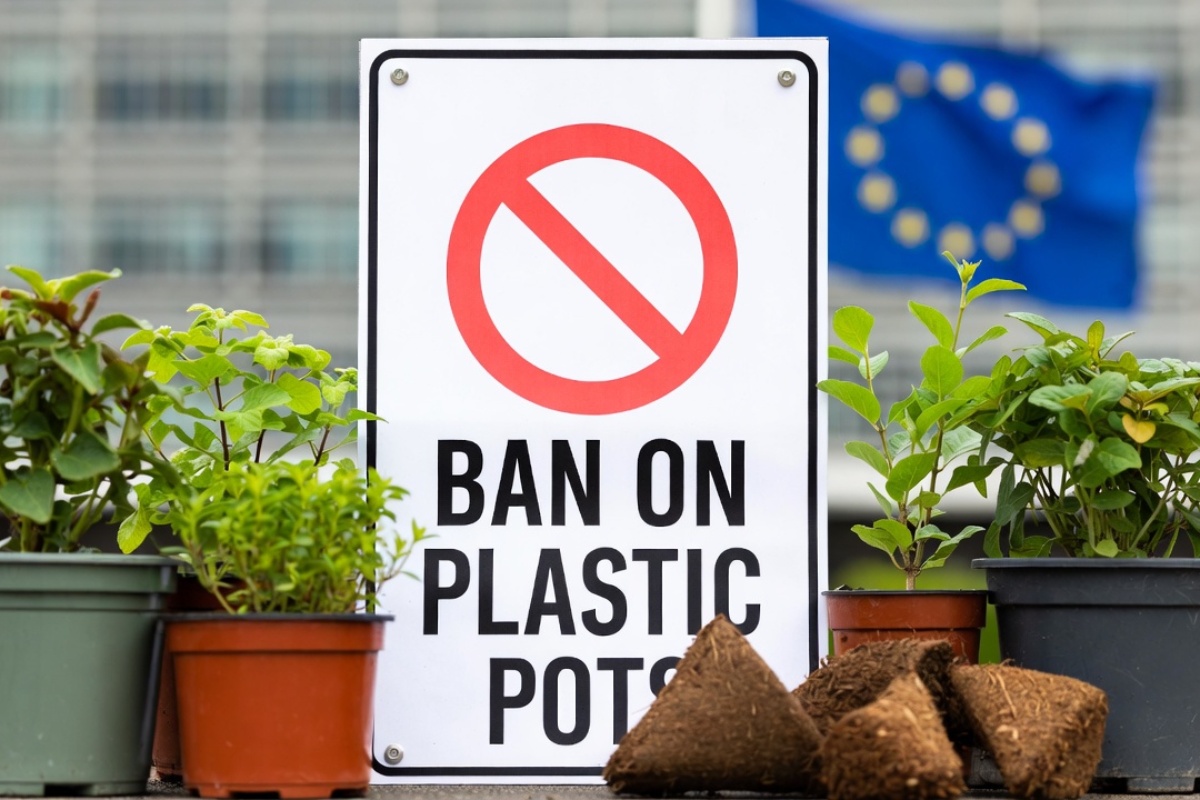 Kraj za saksijsko bilje. Približava se nova zabrana u Evropskoj uniji – image 1