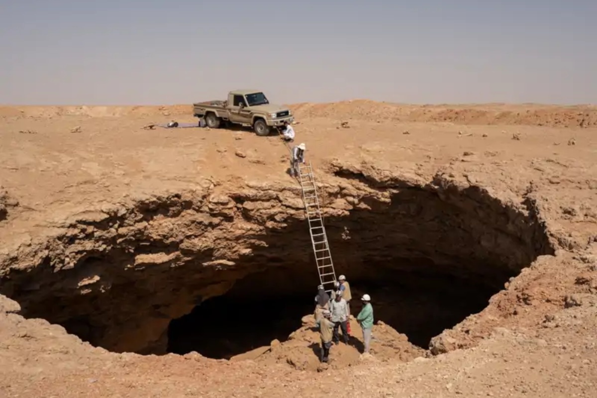 Pronađene mumije geparda u pećinama koje bi mogle pomoći u oporavku ovih velikih mačaka – image 1
