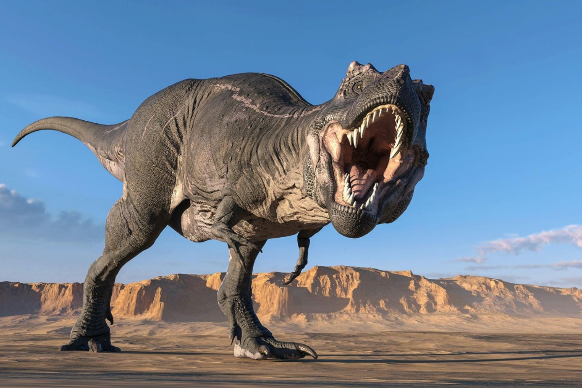 Otkriće fosila T. rexa prepisuje istoriju dinosaurusa i otkriva koliko su zaista dugo živeli – image 2