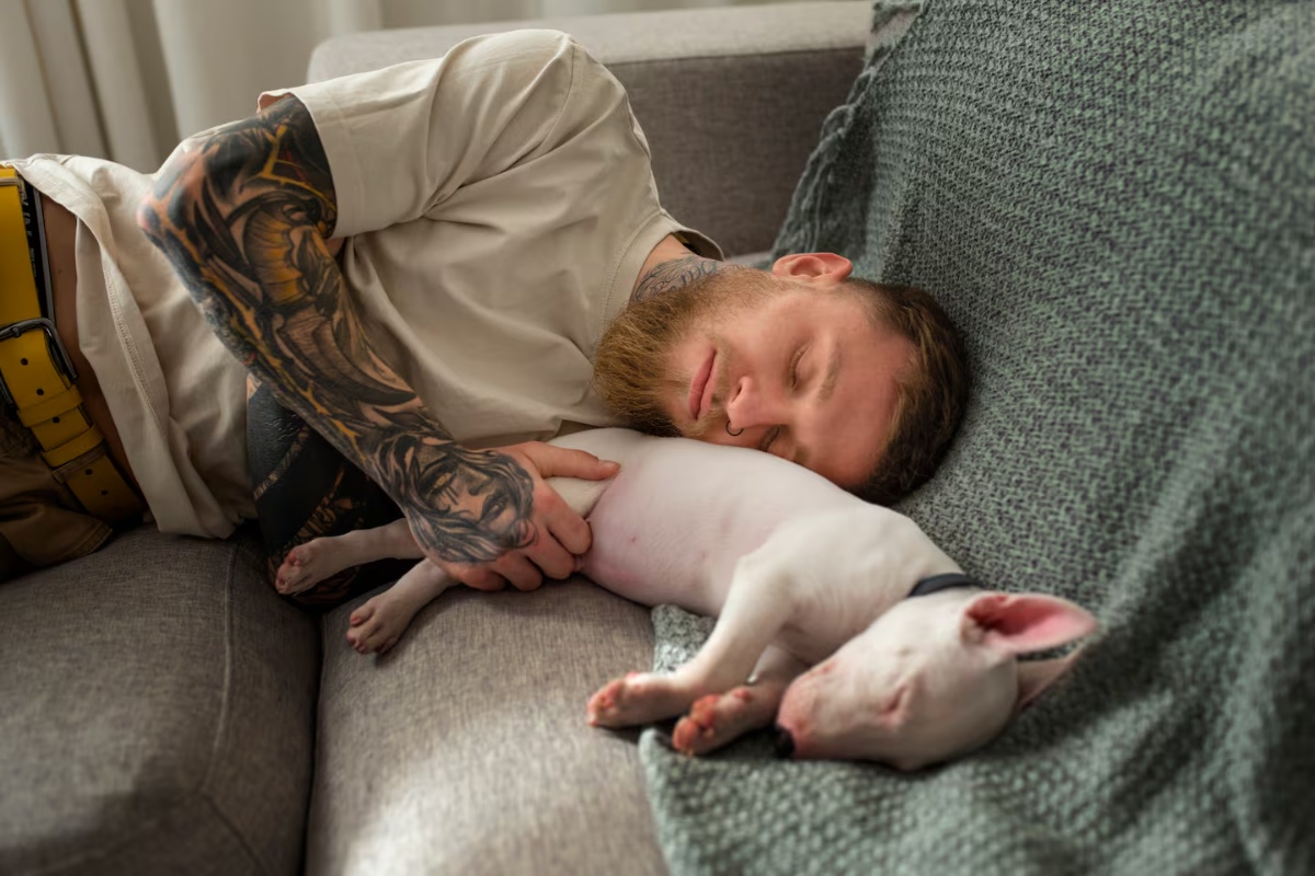 Alan Peiró, trener pasa: „Spavanje sa psom samo po sebi nije problem“ – image 2