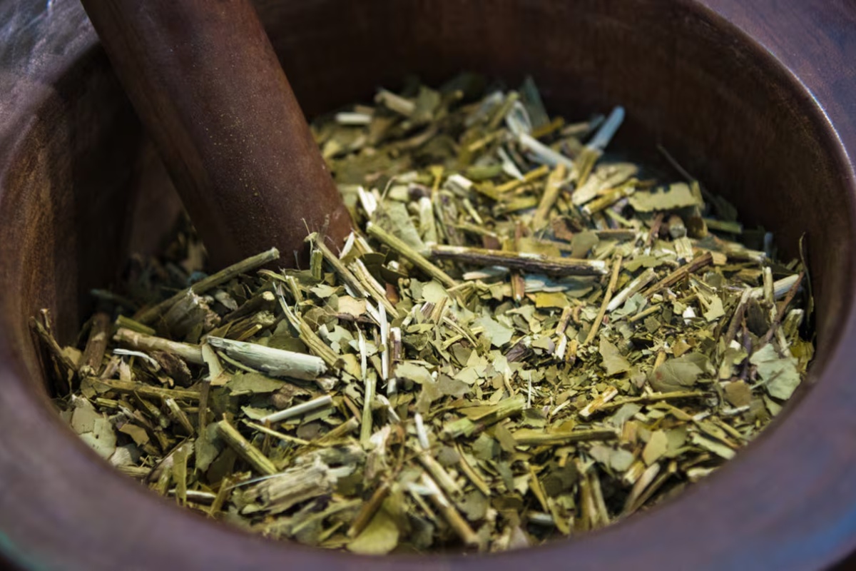 Svi to rade, ali je pogrešno: zašto ne treba bacati ostatke mate čaja u zemlju za biljke – image 2