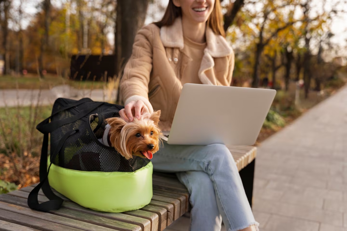 Odmor sa kućnim ljubimcima: šta treba uzeti u obzir za odgovorno putovanje autobusima i vozovima – image 2