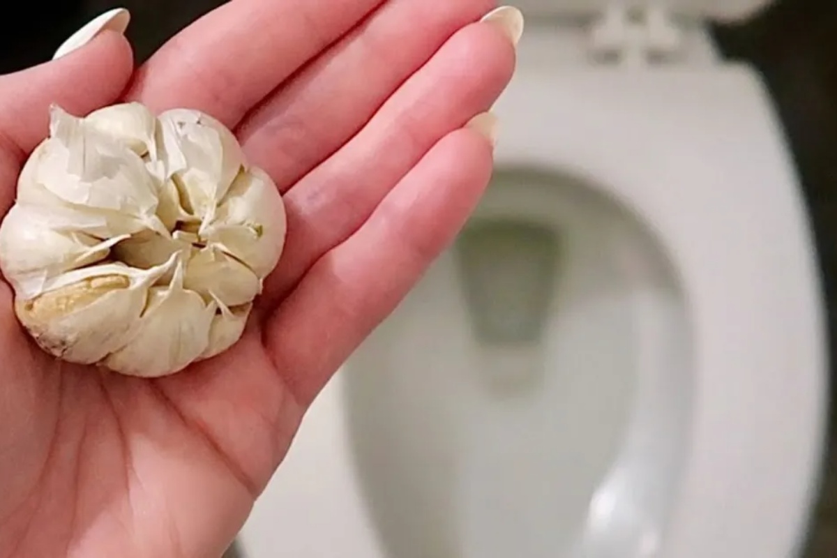 Šta znači ubaciti čen belog luka u toalet šolju? Bićete iznenađeni! – image 2