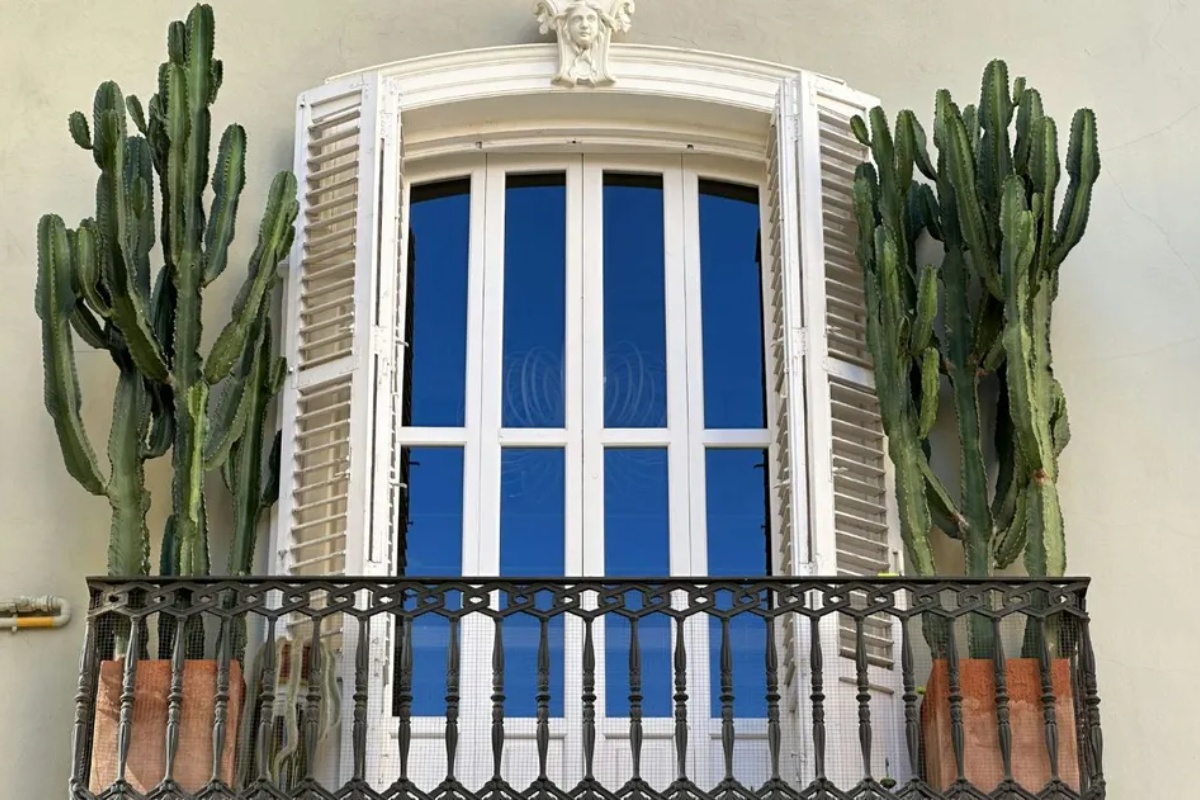 Nije samo za ukras: šta znači staviti kaktus na balkon – image 2