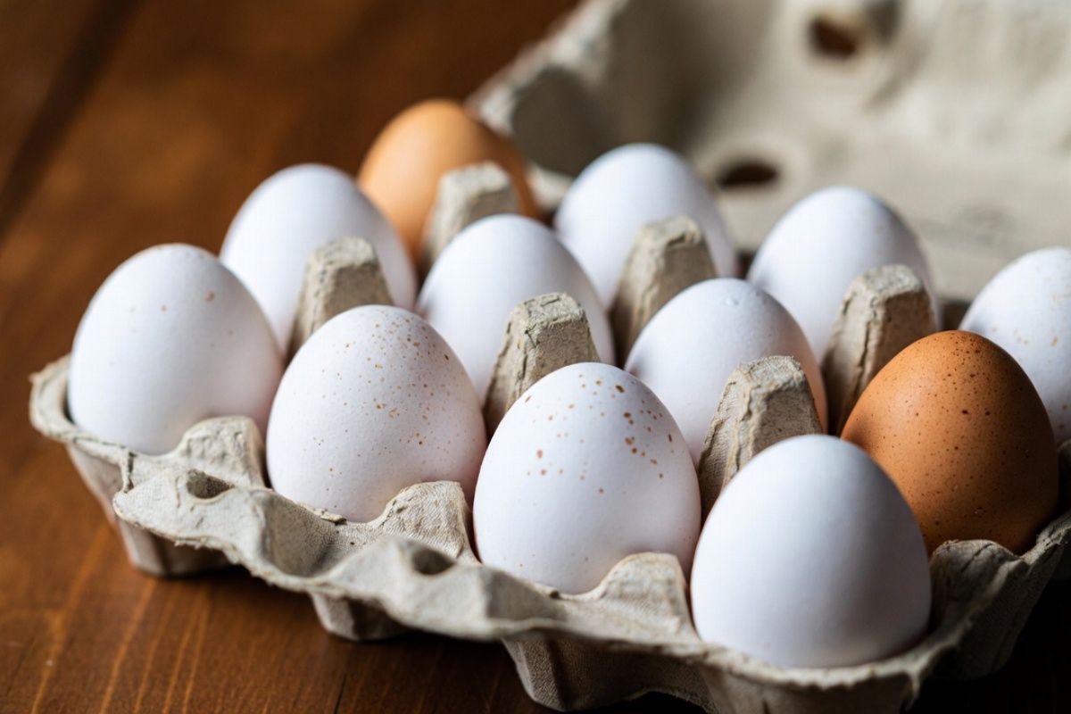 Zašto se jaja prodaju na tucet? Ovo je neobičan razlog koji to objašnjava – image 2