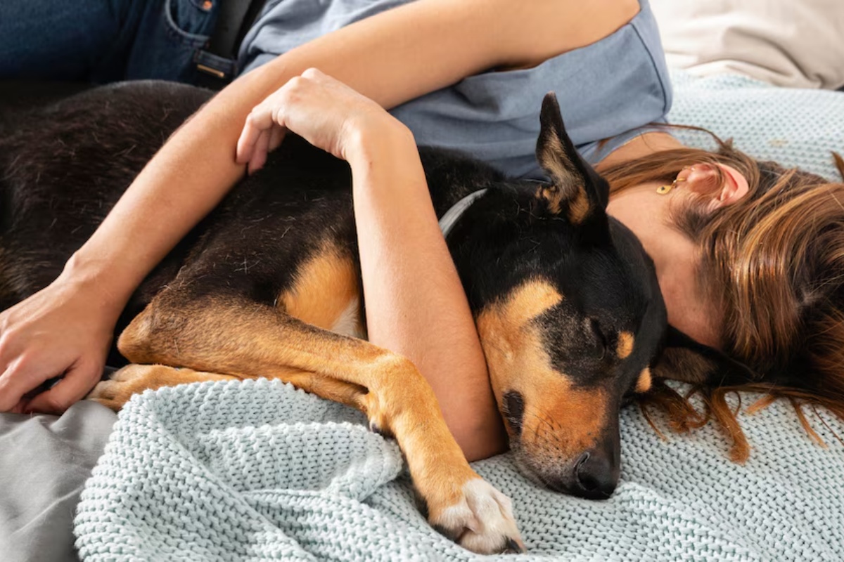 Smrt kućnog ljubimca može izazvati bol jednako intenzivan kao i gubitak člana porodice – image 3