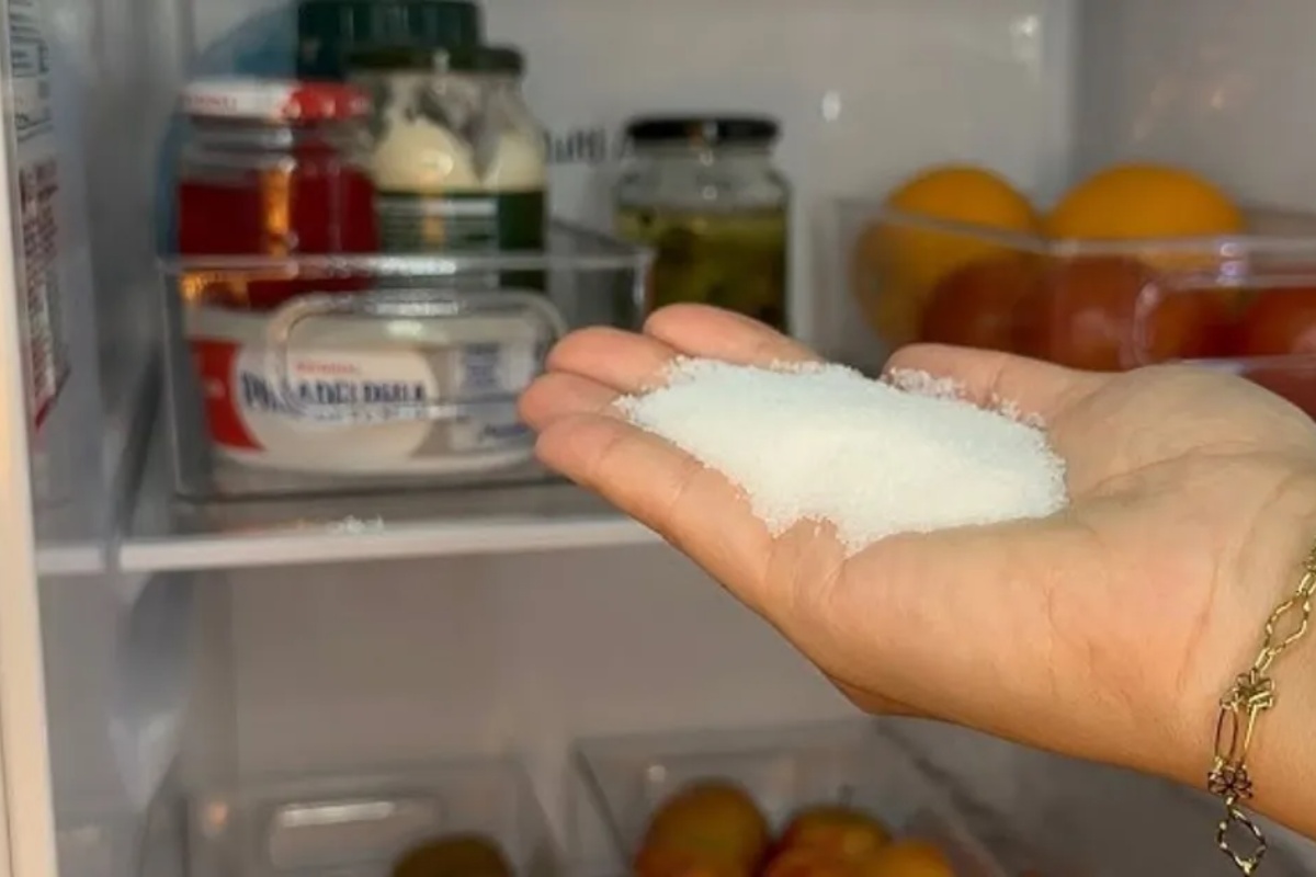 Šta znači staviti teglu sa solju u frižider – image 3