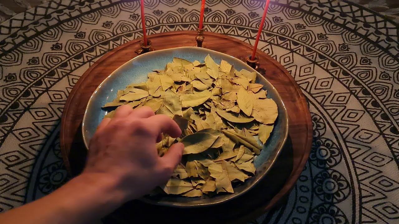 Lovorov list kao simbol obilja i novca