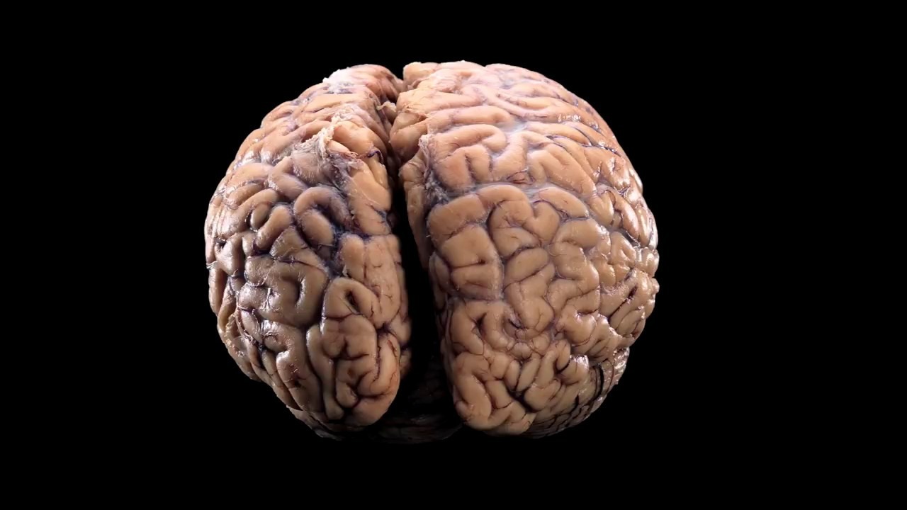 Konsultacije sa neurologom i dijagnostika