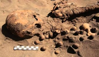 Mumiile preistorice din Atacama prezintă o particularitate anatomică neobișnuită: aceasta explică reducerea creierului după mii de ani de viață în deșert.