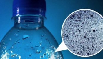 Legătura neașteptată între nanoplastice și conservarea virusurilor și bacteriilor în apa potabilă.