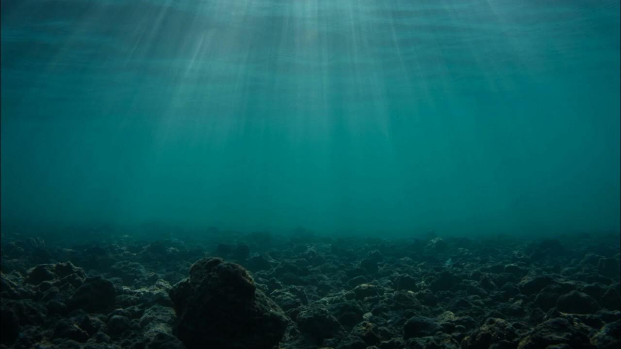Bušenje morskog dna i uzorkovanje vode
