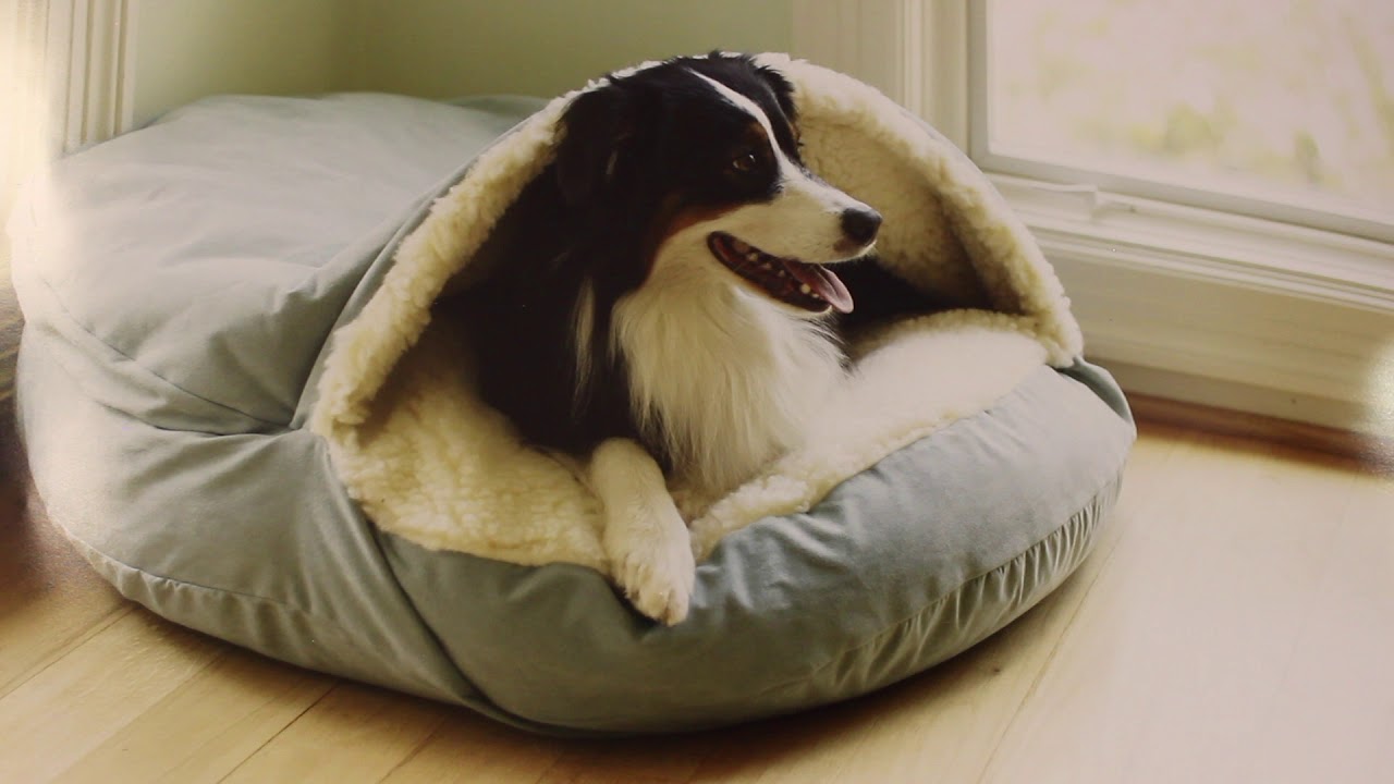 Hlađenje psa tokom leta