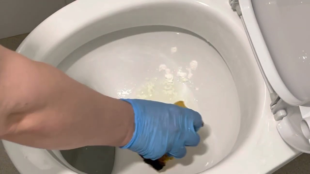 Uklanjanje kamenca iz WC školjke bez kemikalija