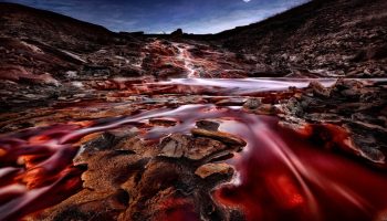 Cascadele sângerii: cum acest fenomen incredibil din Antarctica a fascinat oamenii de știință de-a lungul unui secol.