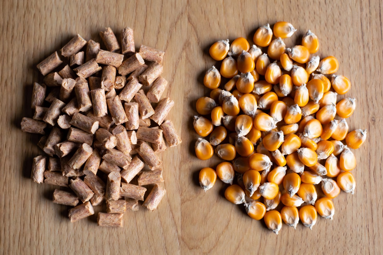 Poređenje peleta i kukuruza