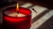 Come realizzare candele fatte in casa per allontanare le zanzare