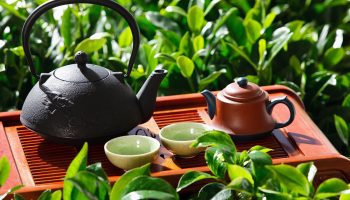 Az emberiség hihetetlen felfedezése. A tea ma is minden otthonban megtalálható, és évek óta a kényelmet és a melegséget szimbolizálja.