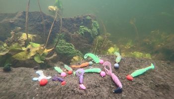 În râu au descoperit un copac la care erau atașate 78 de momeli în valoare totală de 600 de euro.