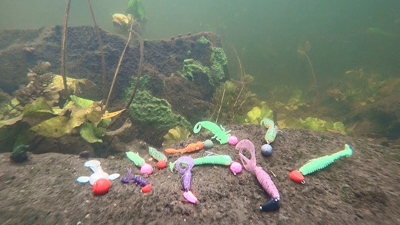 În râu au descoperit un copac la care erau atașate 78 de momeli în valoare totală de 600 de euro.