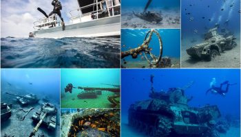 „To podwodne muzea”: fascynacja nurkowaniem wśród zatopionych statków na głębokości 40 metrów