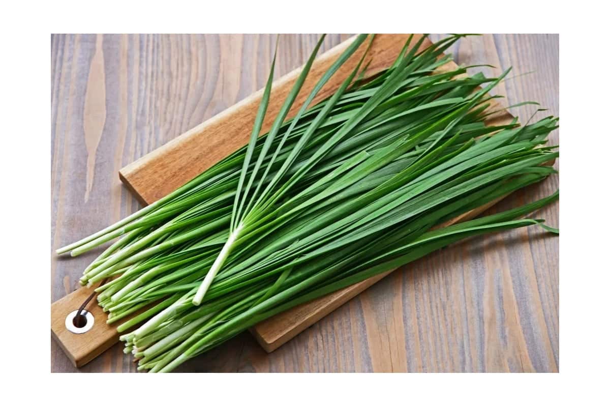 Branje sremuša u prirodi